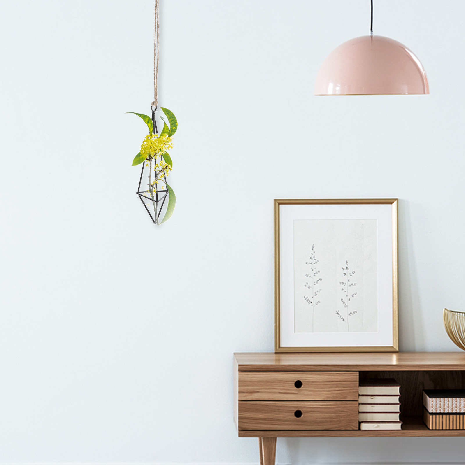 حامل نباتات هوائية معلق بتصميم - مراجعة Spider Plant Hanging وسعره