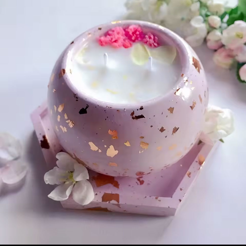 قالب سيليكون دائري لصنع حامل ش - مراجعة Echeveria Succulent وسعره